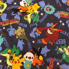 ポケットモンスター デニム 生地