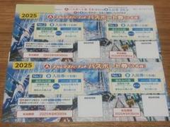 ナガスパ　パスポート券2枚セット ナガシマリゾート パスポート券 2枚セット