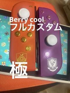Nintendo switch ポケットモンスター Joy-Con