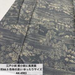 非常に高い品質 江戸小紋 鮫小紋に風景画 裄66.5 色味の良い ゆったりサイズ AK 着物・浴衣