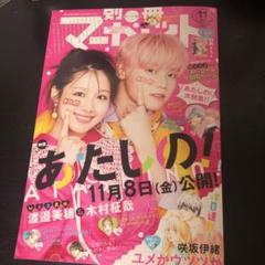 別冊マーガレット2011/8月号～2015/5月号➕おまけ 別冊マーガレット2011/8月号～2015/5月号➕おまけ