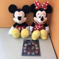 東京ディズニーリゾート マスターモデル ミッキー ミニー 2体セット 東京ディズニーリゾート マスターモデル - ミッキーマウス 展示
