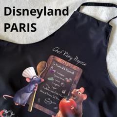 レア☆ディズニーランドパリ レミー 絵 フランス キャンバス スタイル ジグソーパズル 1000ピース 「あこがれの街