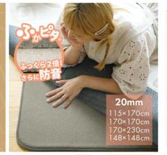 【新品未使用】ふかぴた PLUS [厚手] Sサイズ 115×170cm