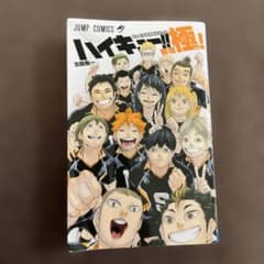 2025年最新】ファイナルガイドブック排球極の人気アイテム