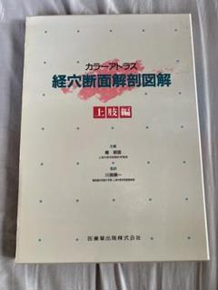 経穴断面解剖図解 上肢編 経穴断面解剖図解（上肢部分） （中文）(厳振国 主編) / (有)よ