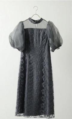 kana シアー素材 ボリューム袖 刺繍レース ワンピースドレス 低身長用サイズあり> シアー素材 ボリューム袖 刺繍レース