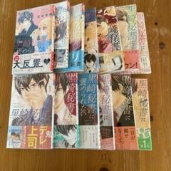 黒崎秘書に褒められたい 全13巻セット