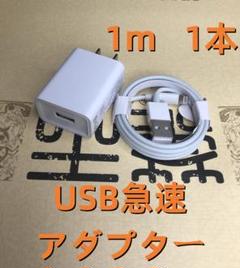 1個 USB充電器 1m1本 iPhone Apple純A品s0a