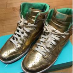 NIKE DUNK PREMIUM 名古屋 しゃちほこ ダンク スニーカー レア