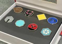 ポケモンカードゲーム 缶バッジ フウ&ラン アスナ 非売品 - メルカリ