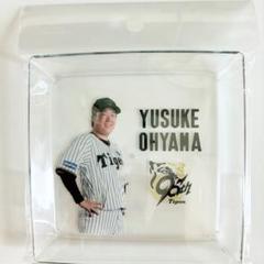 阪神タイガース　非売品　レア　記念日 2025年最新】阪神タイガース非売品の人気アイテム - メルカリ