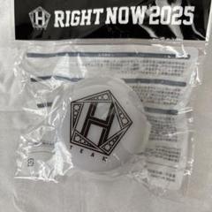 チャングンソク　TEAM H RIGHT NOW2025 ペンライト