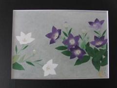 山口蓬春、【桔梗】、希少な大判額装用画集より、新品高級額装付、豪華限定版 山口蓬春、【桔梗】、希少な大判額装用画集より、新品高級額装付