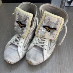 Mizuno ボクシングシューズ ホワイト/シルバー　特注品 imgrc0108160088.jpg