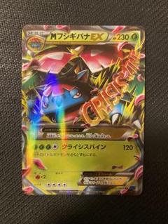未使用 美品 良品 2枚/アンリミ MフシギバナEX & フシギバナEX XY1 Amazon.co.jp: ポケモン 【シングルカード】M(メガ)フシギバナEX