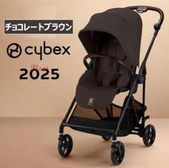 サイベックスメリオカーボン2025と2024の違いは5つ！実物画像