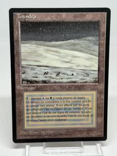 MTG Tundra / ツンドラ ドイツ語 黒枠 Tundra》[3EDBB] 土地R | 日本最大級 MTG通販サイト「晴れる屋」