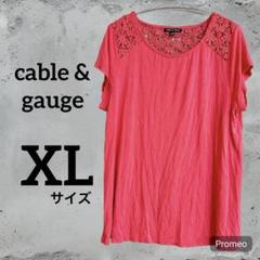 cable & gauge ピンク レース袖 トップス XL/TG