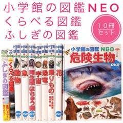 小学館の図鑑NEO くらべる図鑑 ふしぎの図鑑 危険生物 恐竜 動物 両生類 小学館の図鑑NEO くらべる図鑑 ふしぎの図鑑 危険生物 恐竜