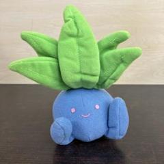 ポケモン　ナゾノクサ　ぬいぐるみ Amazon.co.jp: 三英貿易 ポケットモンスター ALL STAR