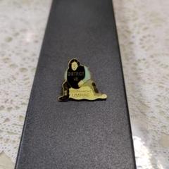 DISTRICT 46 UMPIRE ピンバッチ　レア　野球　審判