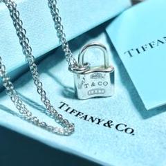 31日まで⭐︎Tiffany & Co. シルバー カデナロックチャームのみ 2025年最新】ティファニー カデナの人気アイテム - メルカリ