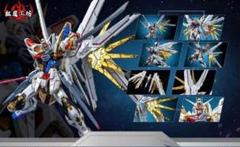 2025年最新】MGEX 1/100 ストライクフリーダムガンダム用