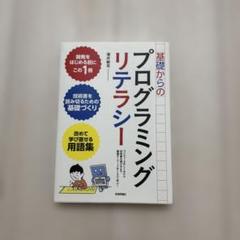 基礎からのプログラミングリテラシー