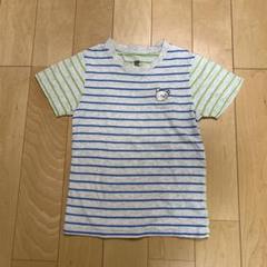 graniph しろくまちゃんTシャツ 120