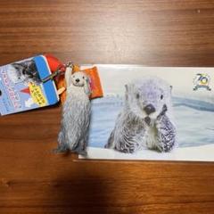 鳥羽水族館 ラッコのメイちゃん 手作りキーホルダー - メルカリ