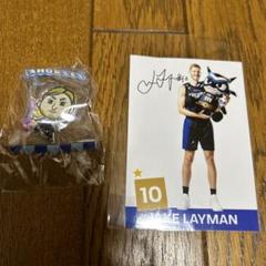 シーホース三河選手2点セット