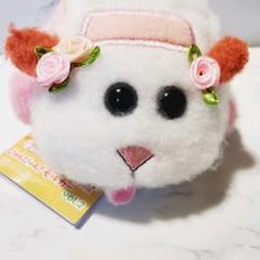 びゅんびゅんモルカー ウェディングモルカー
