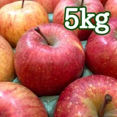 7/青森りんご 葉とらずサンふじ 5kg 小玉 一般用