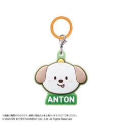 RIIZE ランダムトイ　アントン ANTON コンプリート 6点セット RIIZE ランダムトイ アントン ANTON コンプリート 6点セット