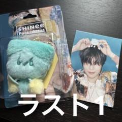 新品未開封 SHINee テミン テマリ ぬいぐるみ 喋る 40cm ドール