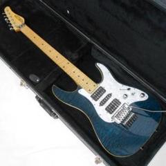 SCHECTER SD-2-24 AS 国産本格モデル！ アッシュBody - メルカリ