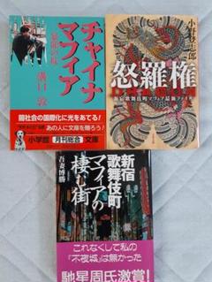 本日限定値下チャイナマフィア　怒羅権　新宿歌舞伎町マフィアの棲む街文庫三冊セット
