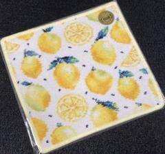 フェイラー タオルハンカチ 完売品