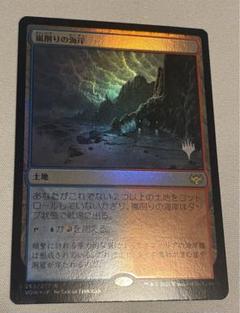 MTG 嵐削りの海岸　セトブFOIL 4枚セット MTG 嵐削りの海岸 セトブFOIL 4枚セット