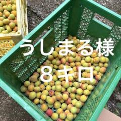 無農薬自家栽培　色づき梅　８キロ 無農薬自家栽培 色づき梅 8キロ - メルカリ