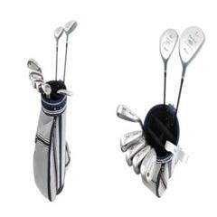 Mizuno ZEPHYR レディース ゴルフクラブ 8本セット バッグ付♪