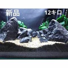 2025年最新】龍王石 親石の人気アイテム - メルカリ