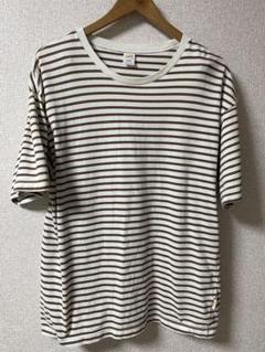 sportswear inherit別注　インヘリット　ボーダー　tシャツ中古
