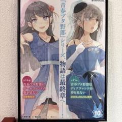 青春ブタ野郎シリーズ 非売品 ポスター 2枚 青春ブタ野郎シリーズ 非売品 ポスター 2枚 - メルカリ