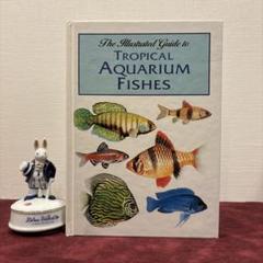 2025年最新】洋書 魚 図鑑の人気アイテム - メルカリ