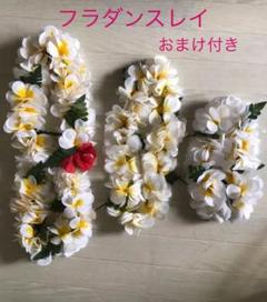 最終値下げ フラダンス レイ