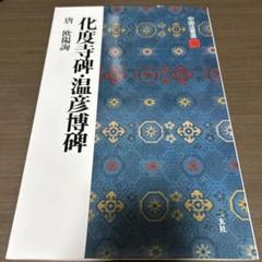 中国法書選30 唐 欧陽詢 化度寺碑・温彦博碑 二玄社
