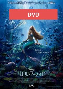 リトル・マーメイド 実写版 映画 DVD