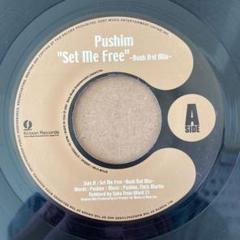 5157 PUSHIM UA CANDY レゲエ レコード